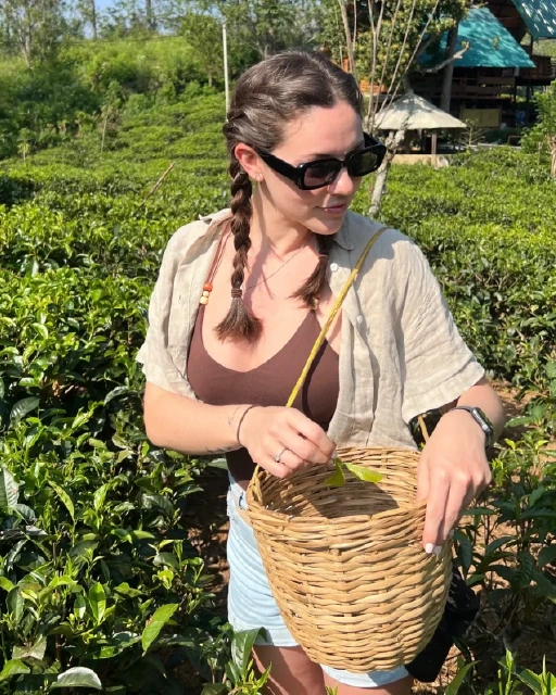 Organic Tea Queen